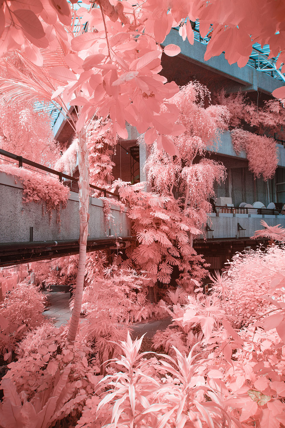 Barbican Dreamland — infrared photograph, conservatory walkway