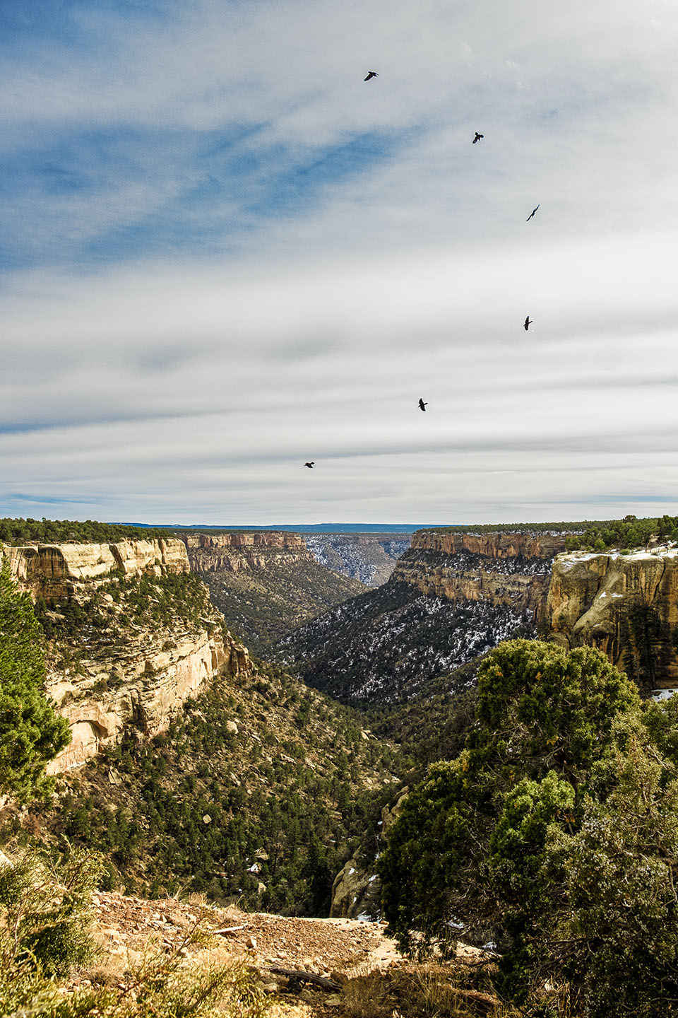 Colorado — landscape, image 3