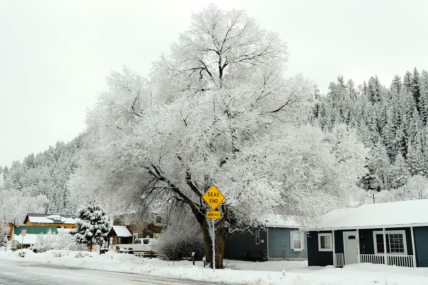 Colorado — landscape, image 7