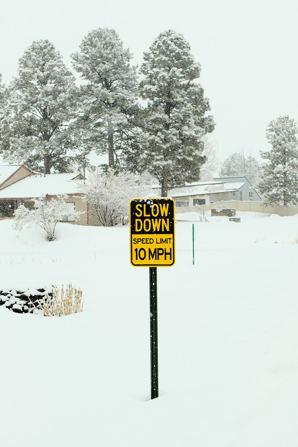 Colorado — landscape, image 8