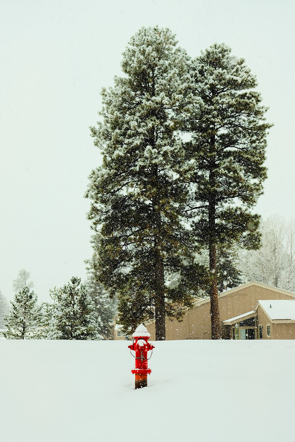 Colorado — landscape, image 9