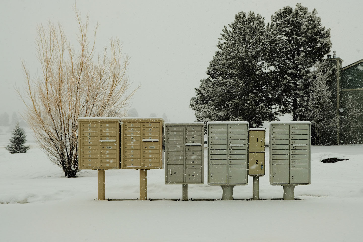 Colorado — landscape, image 11