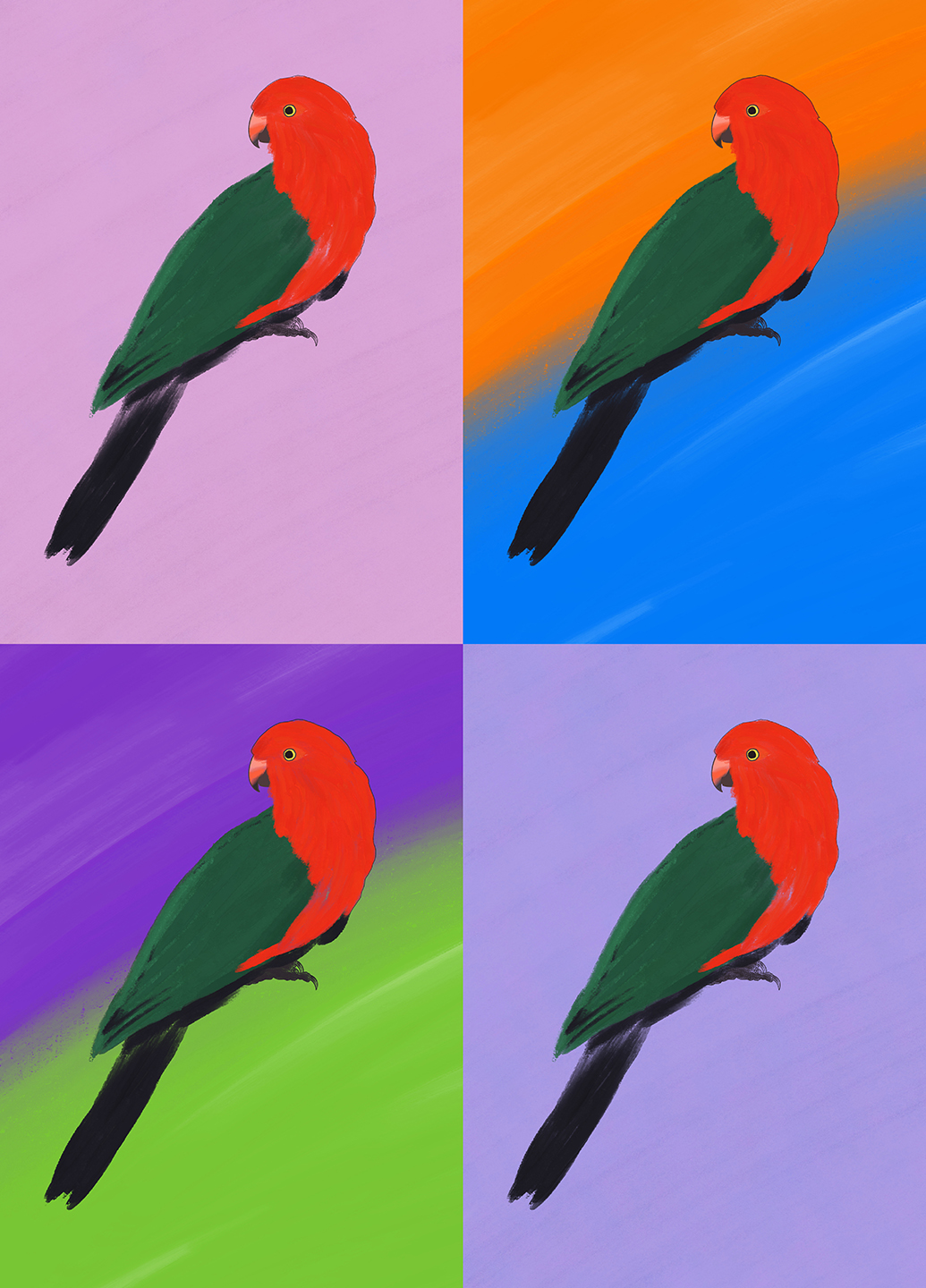 King parrot illustration series in varied colourways