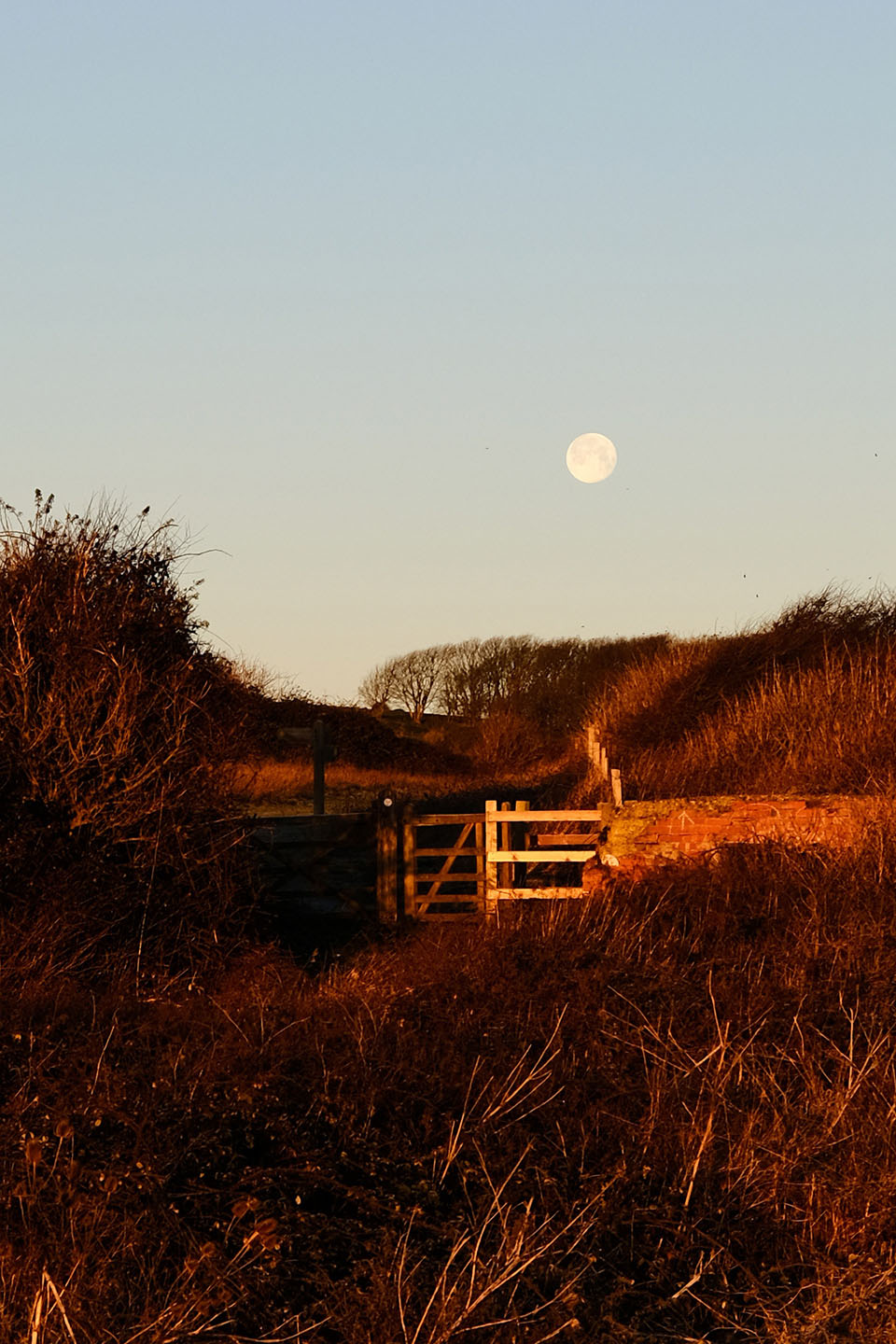 Winter Sun — behind the scenes, image 02